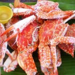 Steamed Crabs