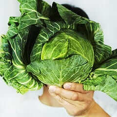 Cabbage Soup Diet Cabbage Soup Diet