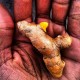 Turmeric Health Benefits