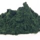 Spirulina Health Benefits