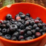 metabolism boosting foods
