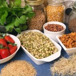 Foods that lower the blood sugar