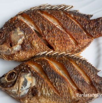 Fried Fish Tilapia