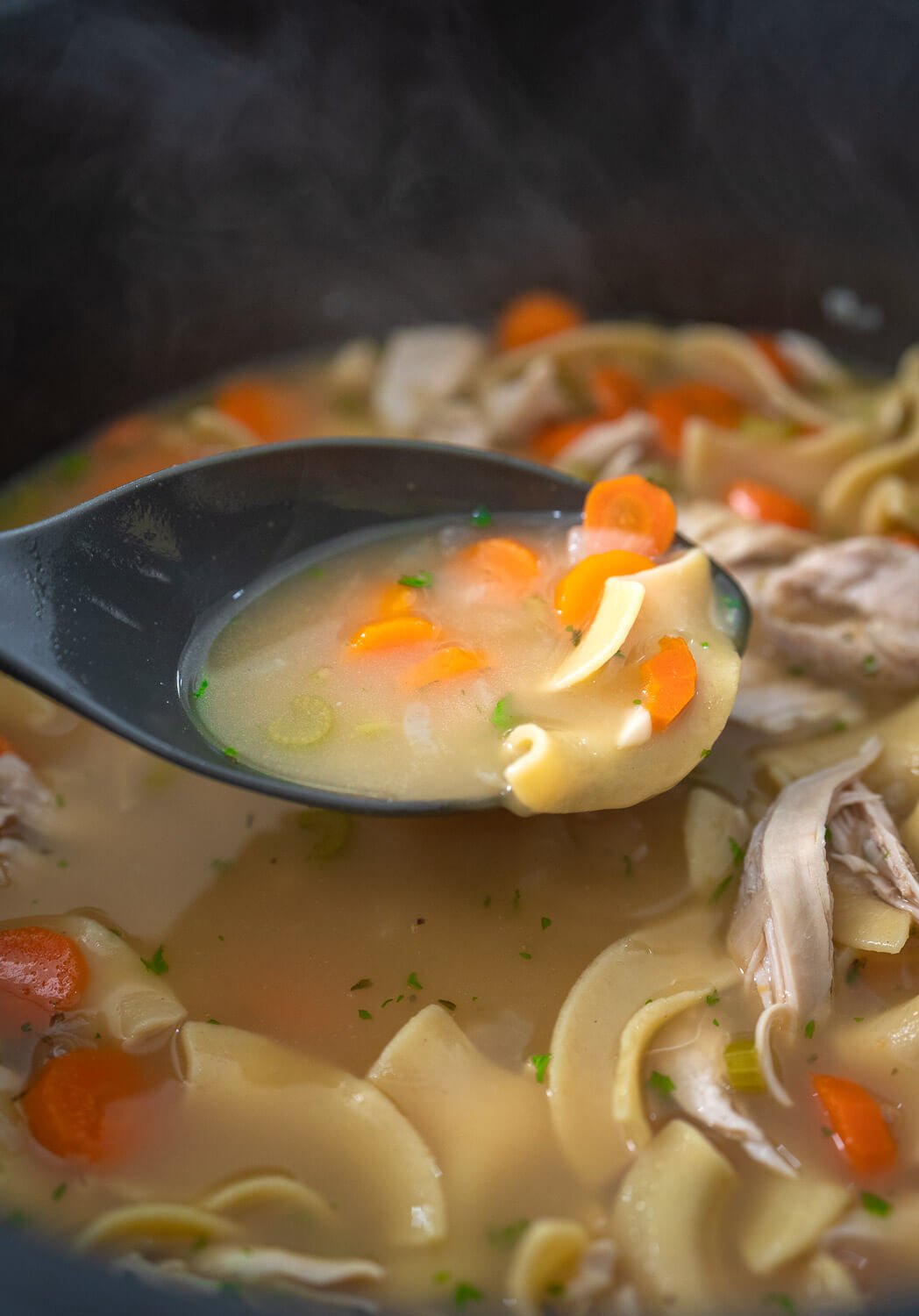 chicken noodle soup on a ladle