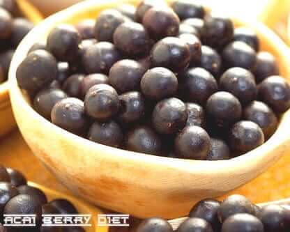 acai berry diet