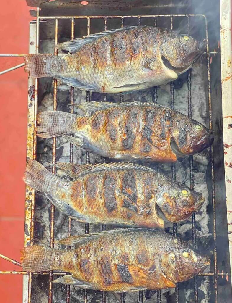 Tilapia grilling on a traditional Pinoy grill