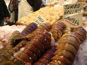 how to buy lobster tails online