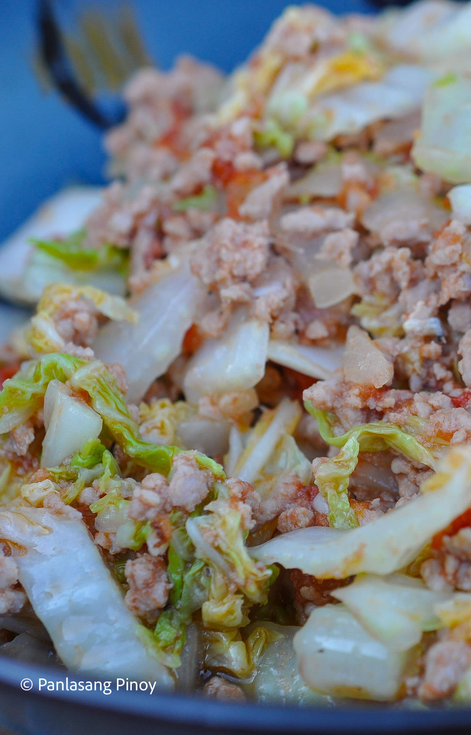 Sauteed Napa Cabbage with Ground Pork (pechay with giniling)