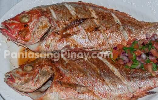 broiled red snapper with pico de gallo