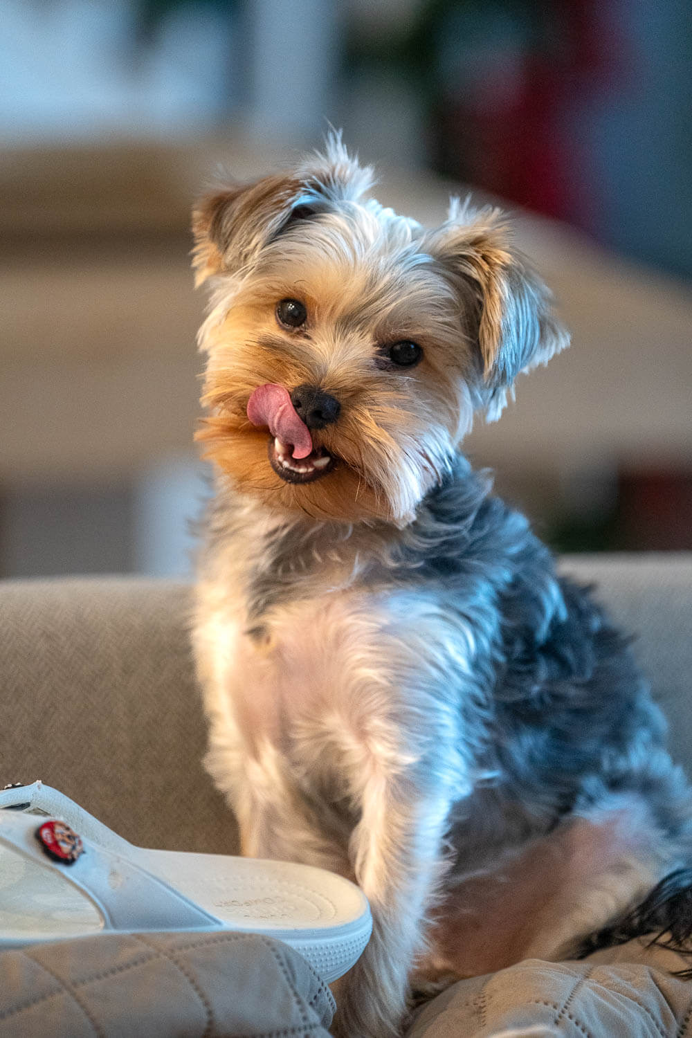 The flip flop might have been tasty