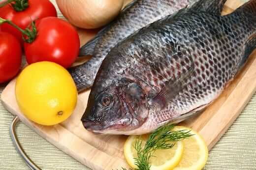 Tilapia Recipes