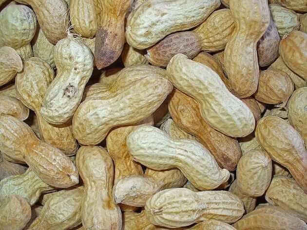 How to Boil Peanuts 