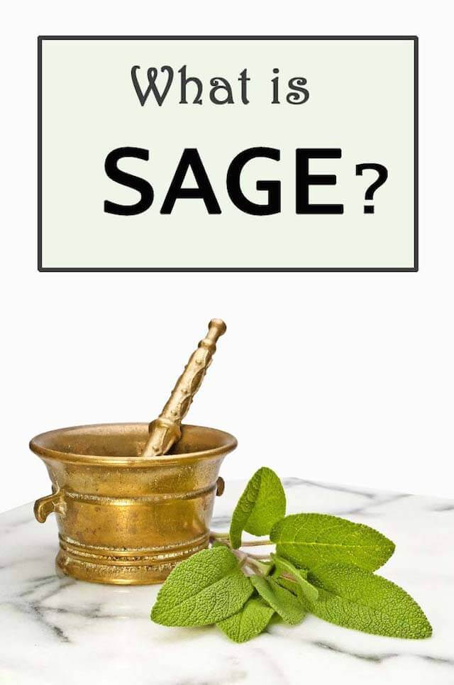 What is Sage? - Panlasang Pinoy