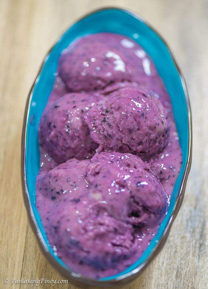 Healthy Frozen Blueberry Yogurt