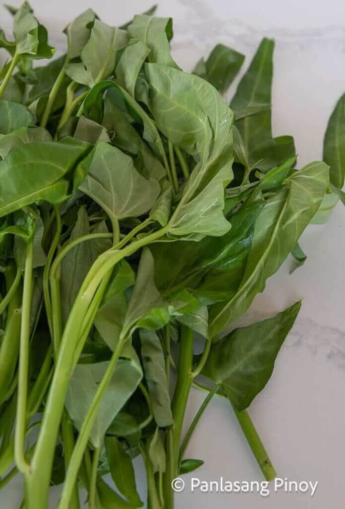 kangkong water spinach