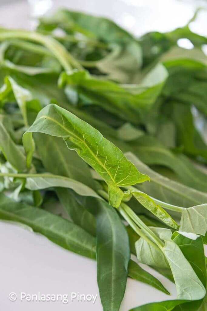 kangkong water spinach