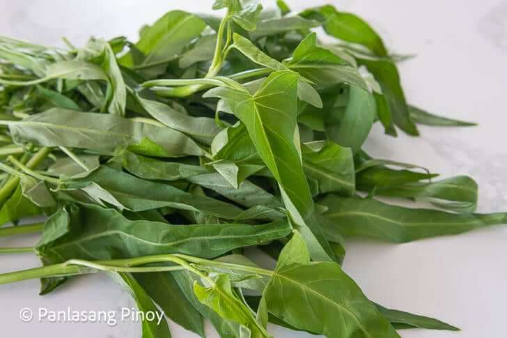 kangkong