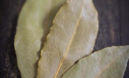 What are Bay Leaves?
