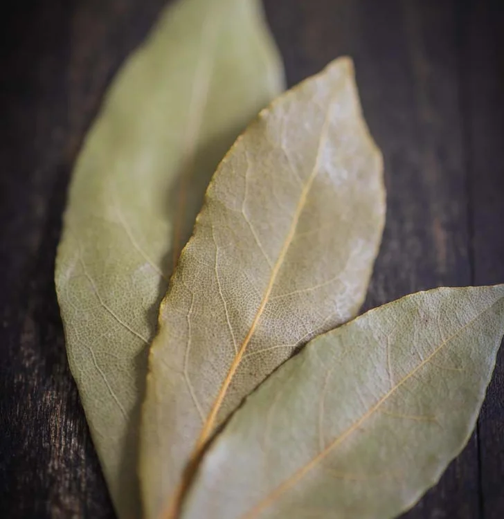 Can you eat bay leaves