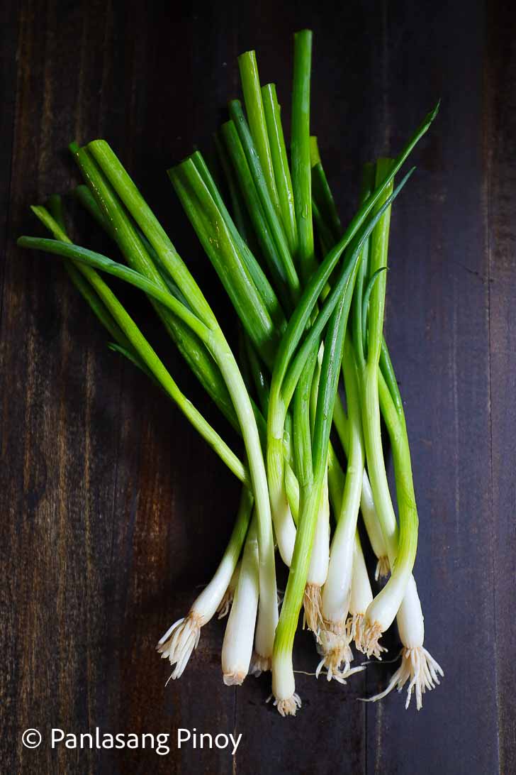 What Are Green Onions?