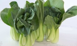 What is Bok Choy?