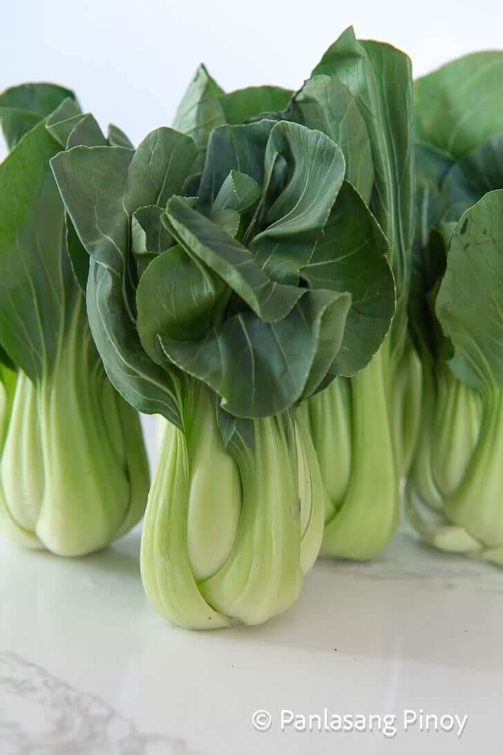 bok choy pechay