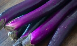 What is Eggplant?