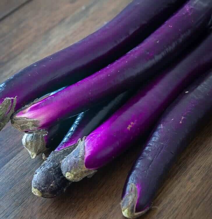 chinese eggplant