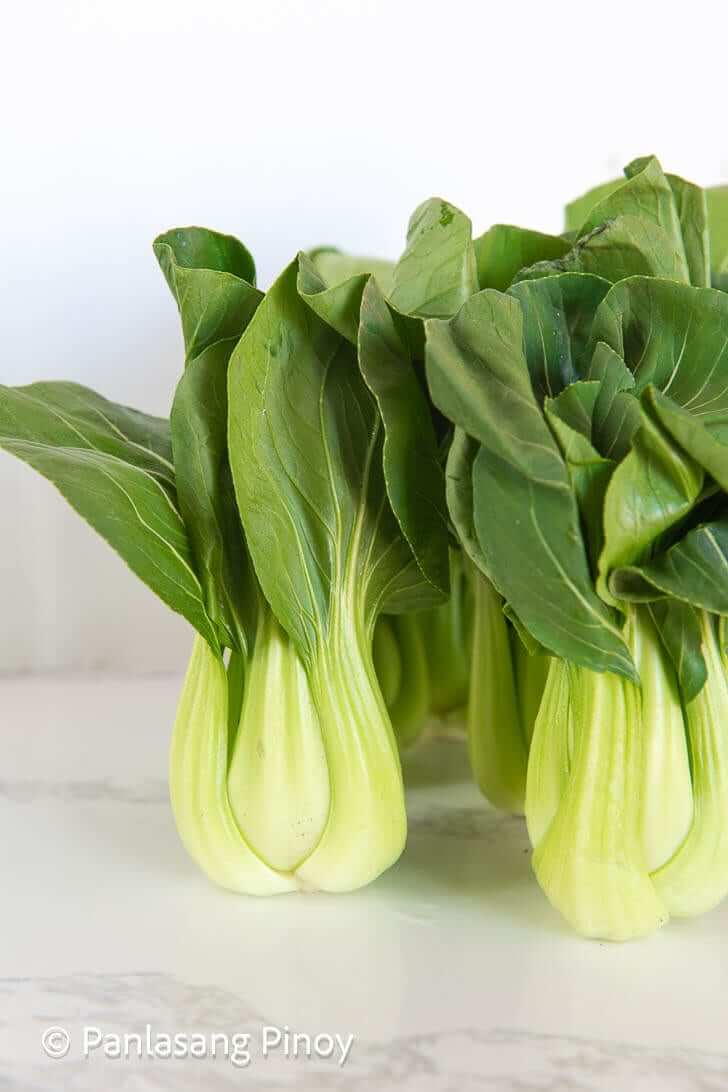 what is bok choy