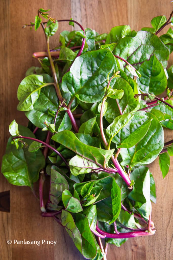 alugbati-malabar-spinach-panlasang-pinoy