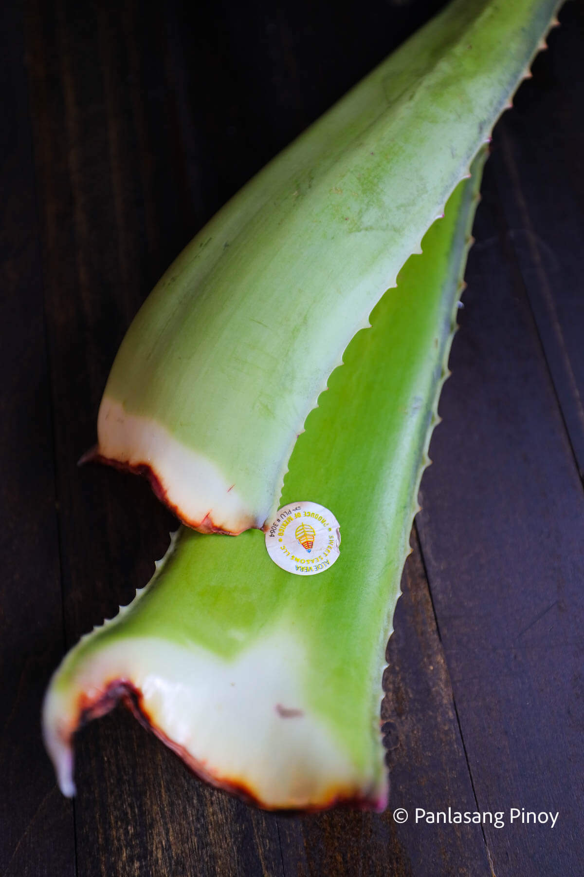 Aloe Vera: Your Hair's Favorite Plant (and the Plant of Immortality) –