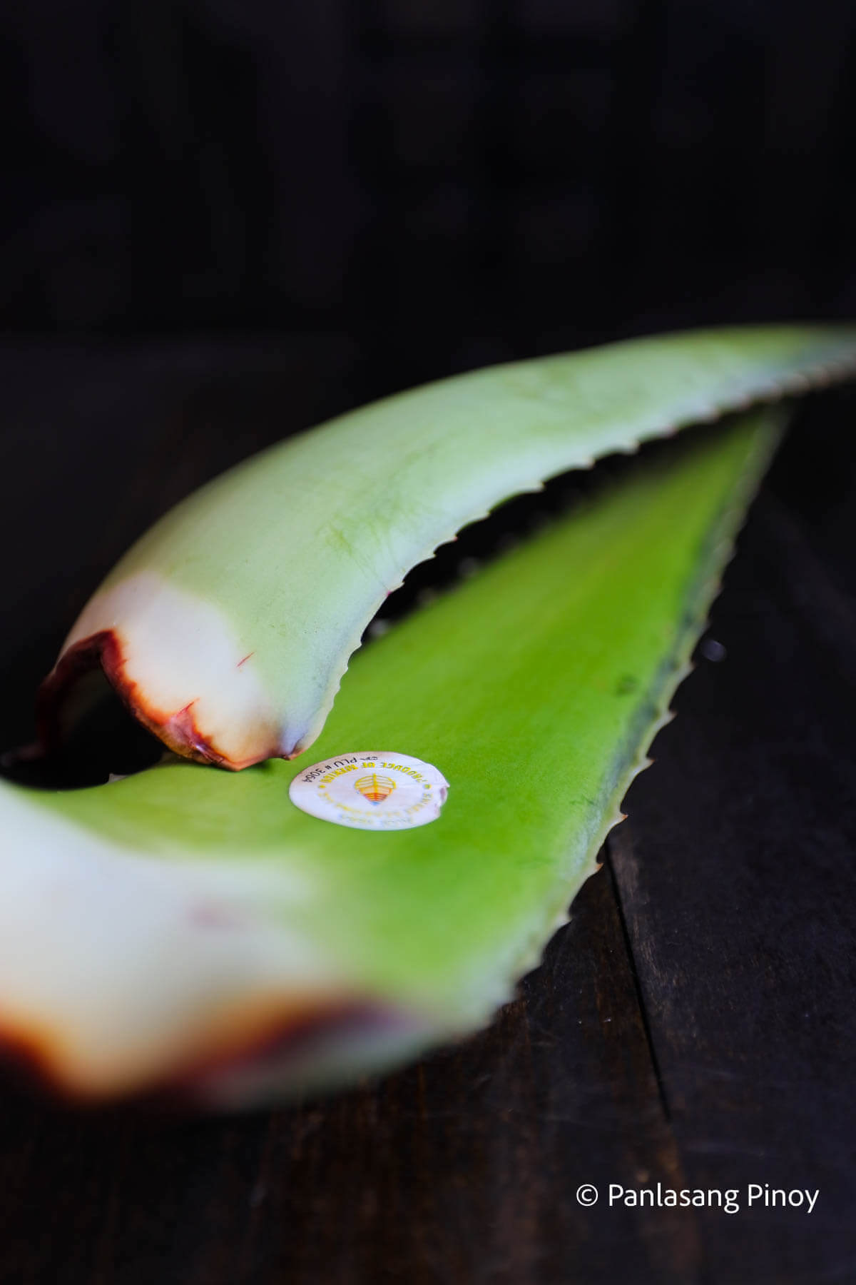 What are Aloe Vera Benefits