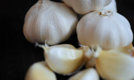 What is Garlic?