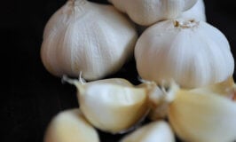 What is Garlic