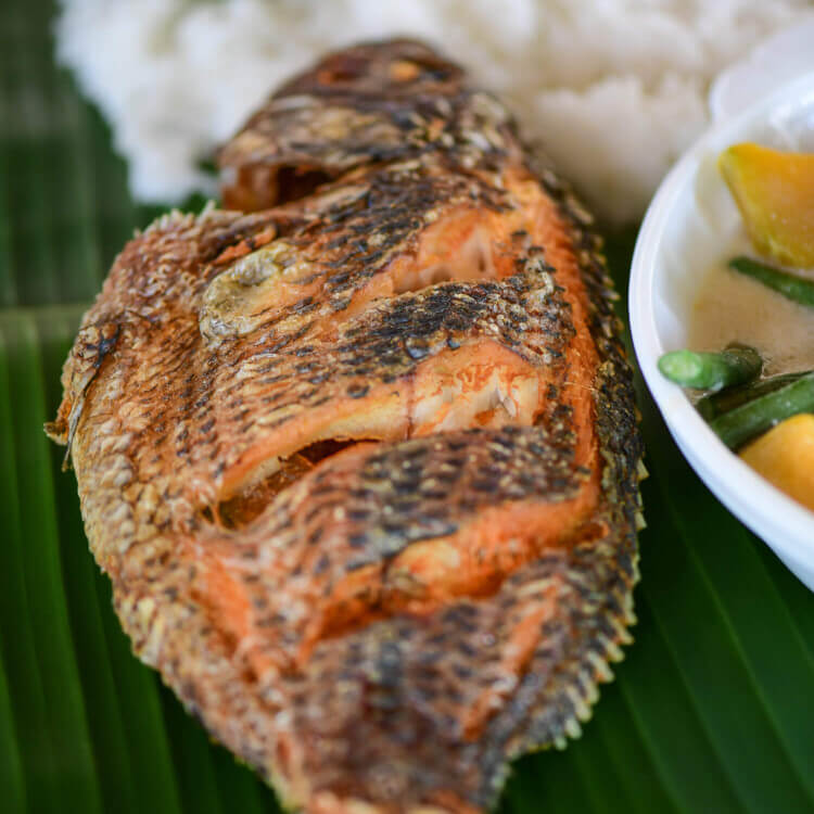 fried tilapia