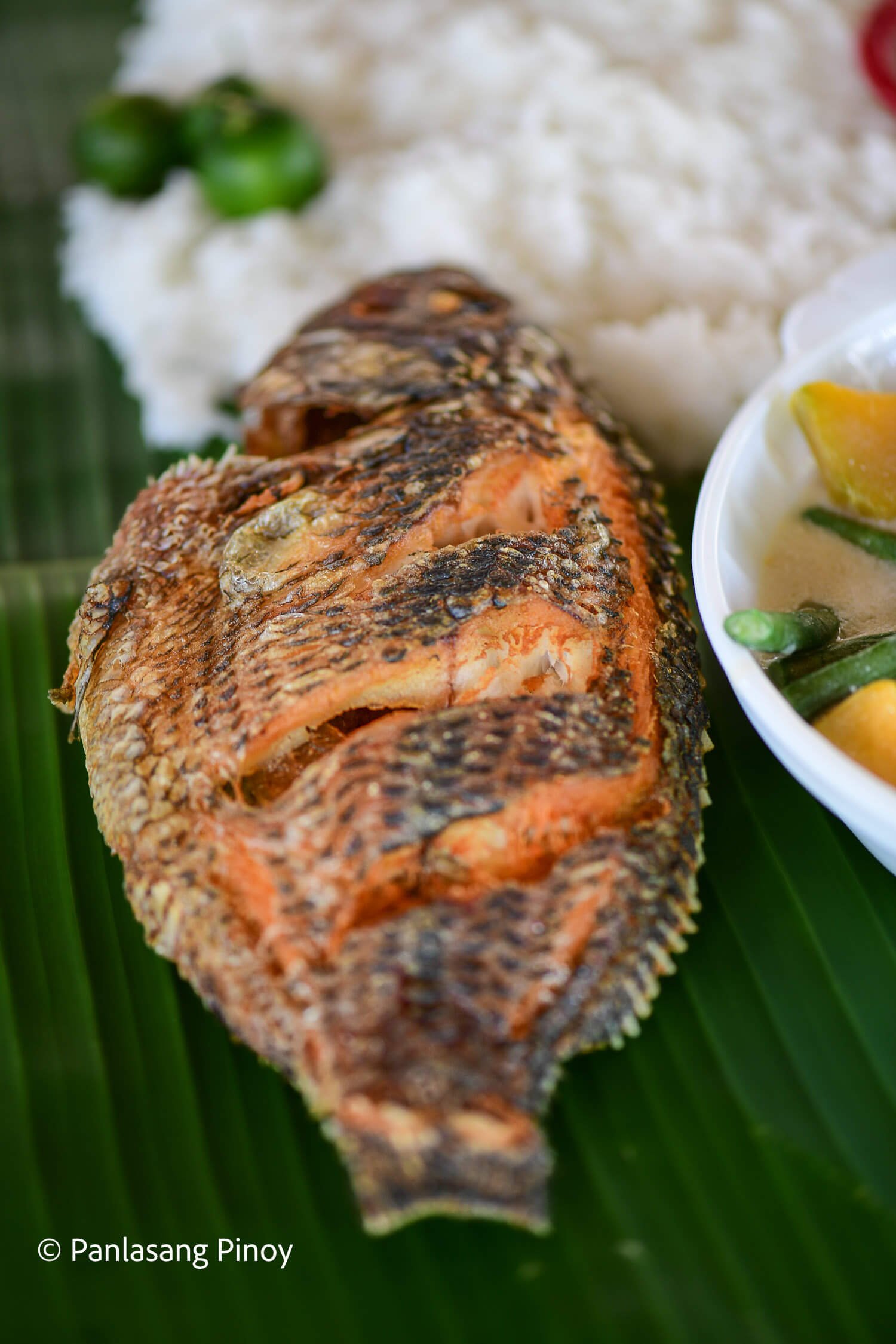 fried tilapia