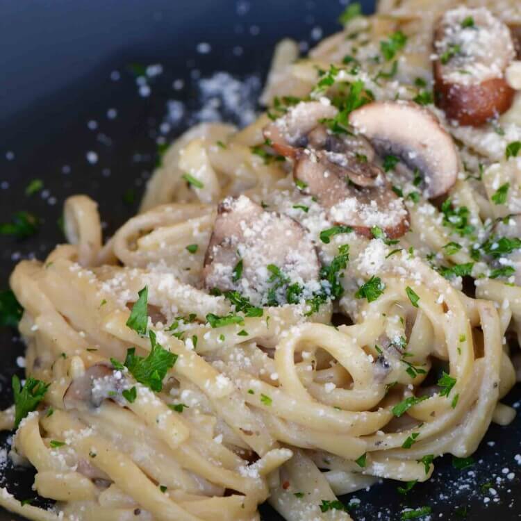 mushroom pasta