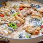 Fish bicol express in a pan