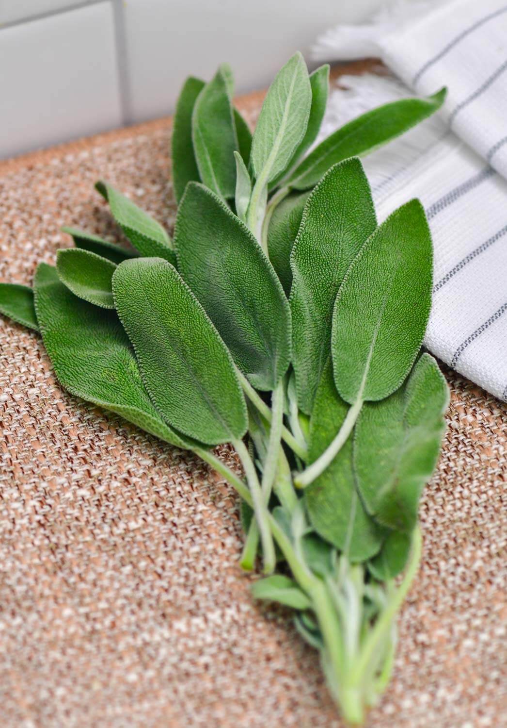 What sage is good for?