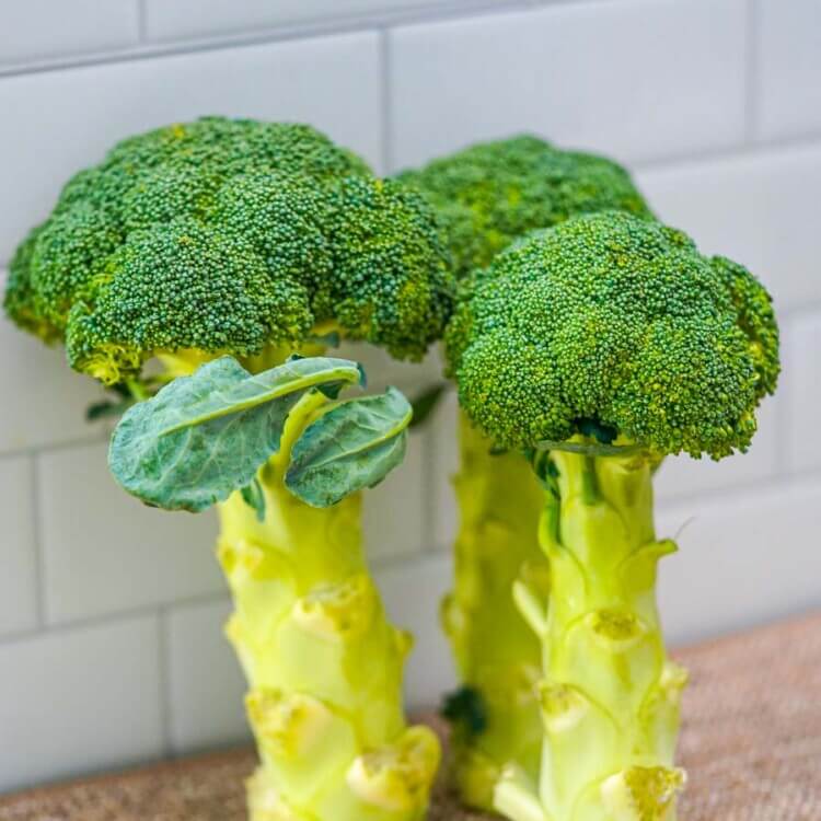 What is broccoli